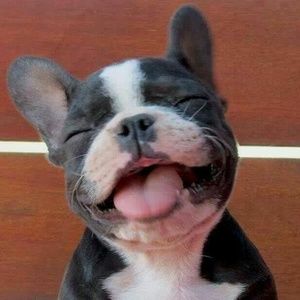 Meet your Posher, Cris